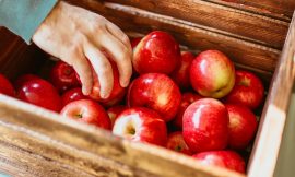 Maçã: Do Jardim do Éden às Suas Receitas Favoritas