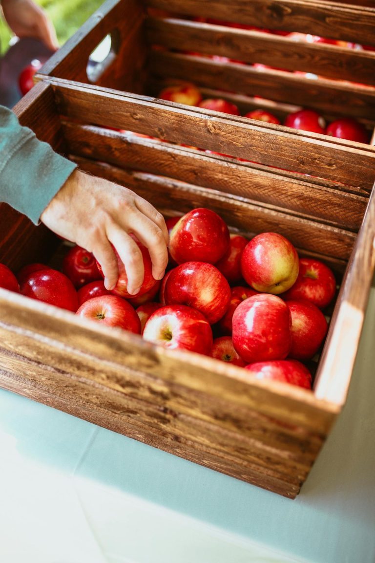 Leia mais sobre o artigo Maçã: Do Jardim do Éden às Suas Receitas Favoritas