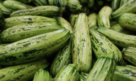 Semana da Abobrinha! 🍃🎉 Orko se Empolgou e Comprou Abobrinha Demais – Vamos Fazer Milagre com Esse Ingrediente!