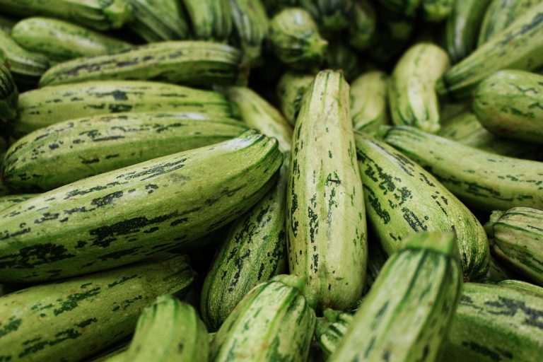 Leia mais sobre o artigo Semana da Abobrinha! 🍃🎉 Orko se Empolgou e Comprou Abobrinha Demais – Vamos Fazer Milagre com Esse Ingrediente!